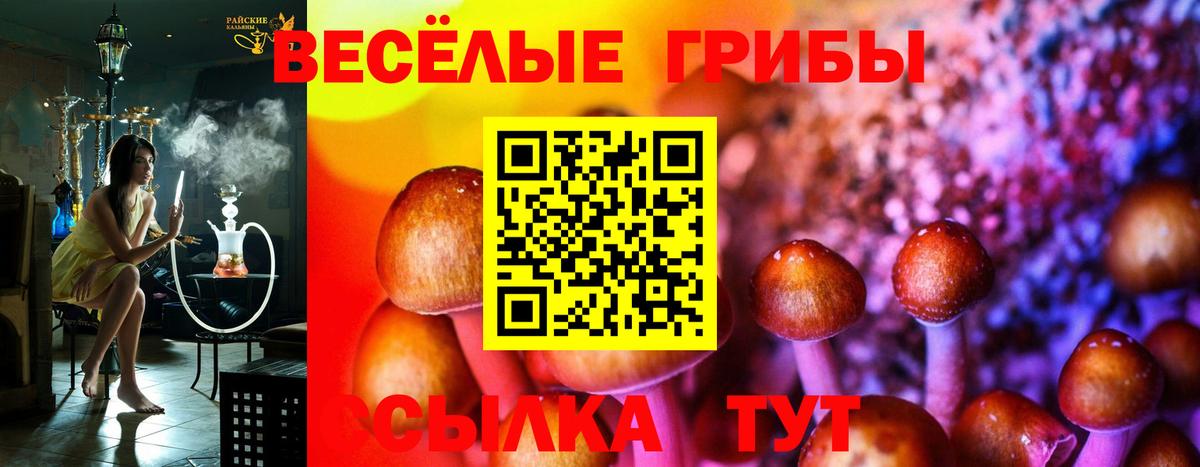 Псилоцибиновые грибы MAGIC MUSHROOMS Россия